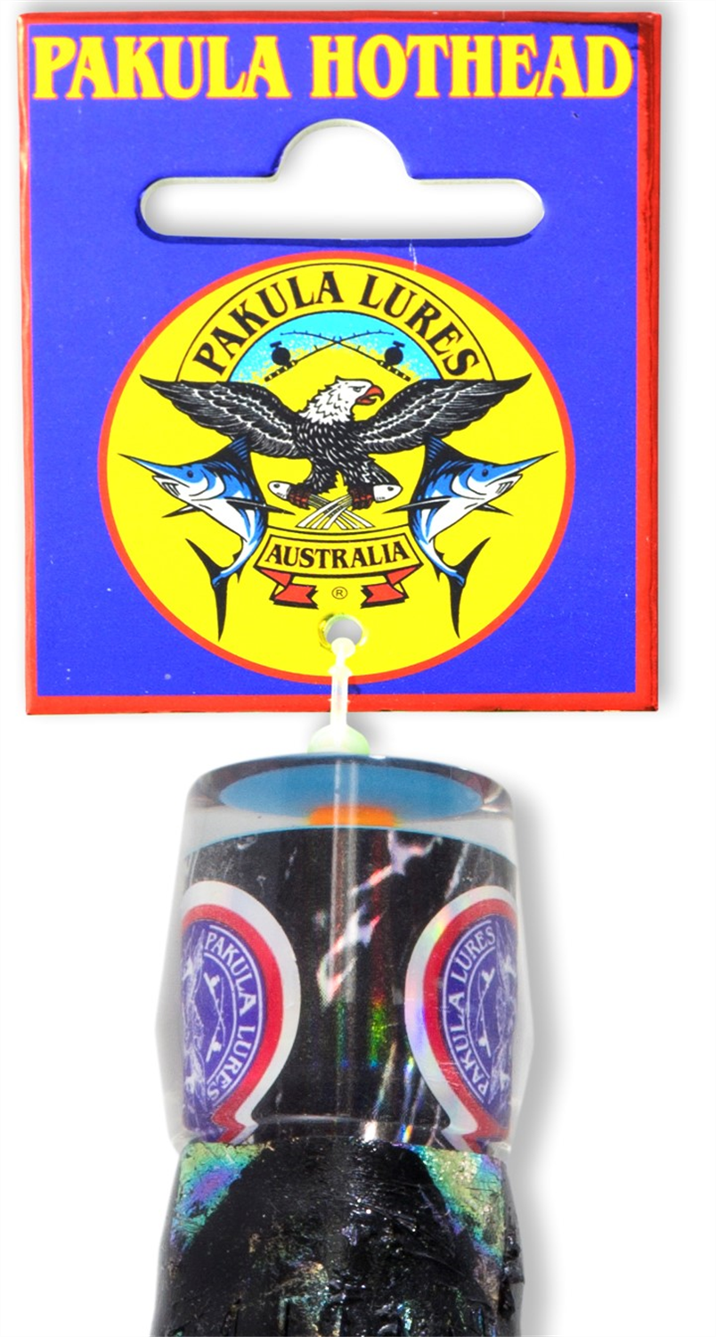 PAKULA PAUA HOTHEAD COCKROACH