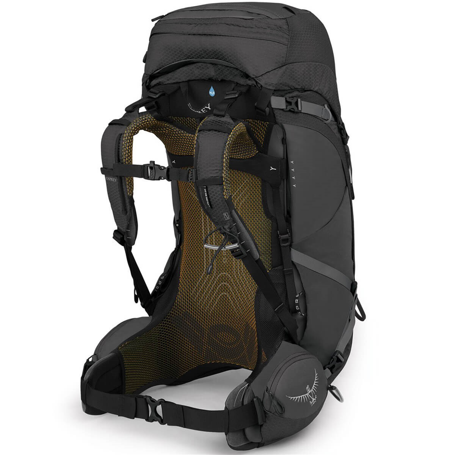 Daylite Osprey Atmos 70 OSPREY DAYLITE PLUS 20 Litre Backpack