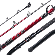 CD Rods TITAN SWORDFYSSHER 60 GAME 6'0 1.80M 60KG