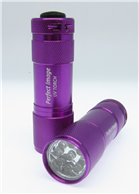 PERFECT IMAGE TORCH 9LED UV REJUNINATOR INCL BATTERIES