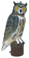 FLAMBEAU OWL