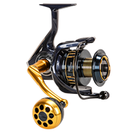 Okuma DETHRONER FAS531MH & SALINA SA8000